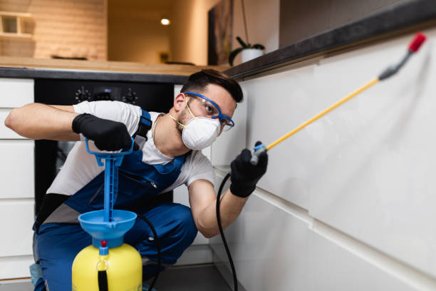 Best Pest Control Near Me  in Waukomis, OK
