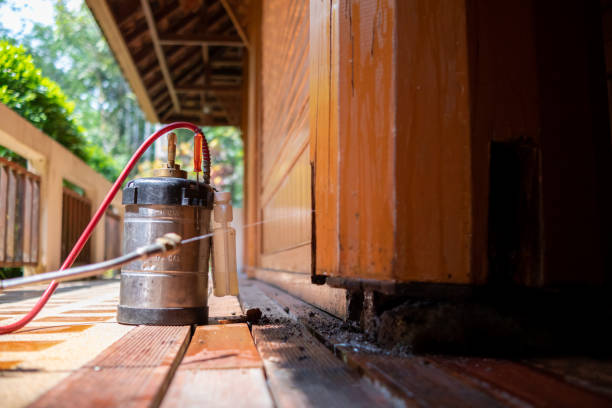 Best Best Pest Control Companies  in Waukomis, OK